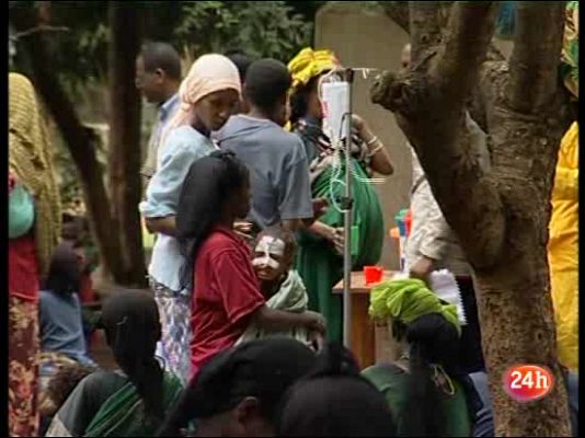 Programa mundial de alimentos ONU