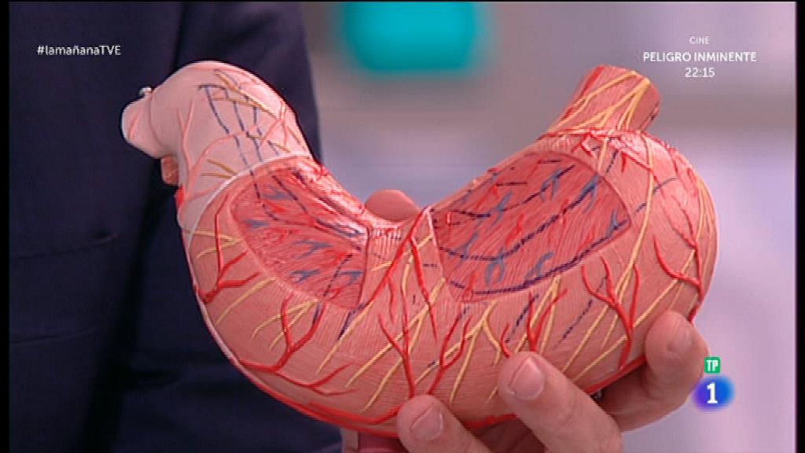 Obesidad y sistema digestivo