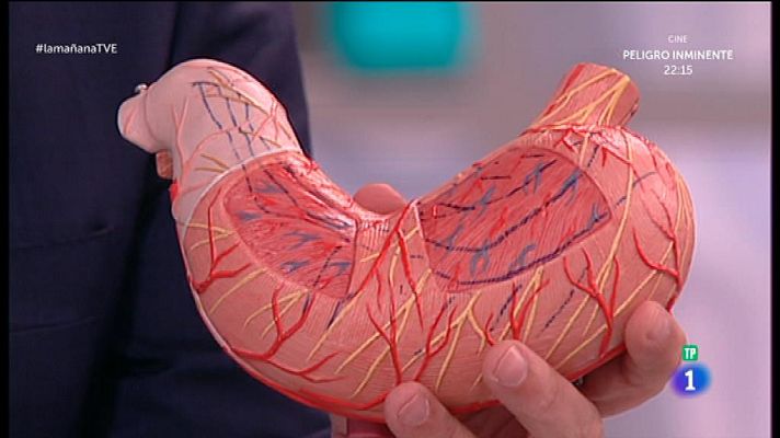 La mañana - Obesidad y sistema digestivo