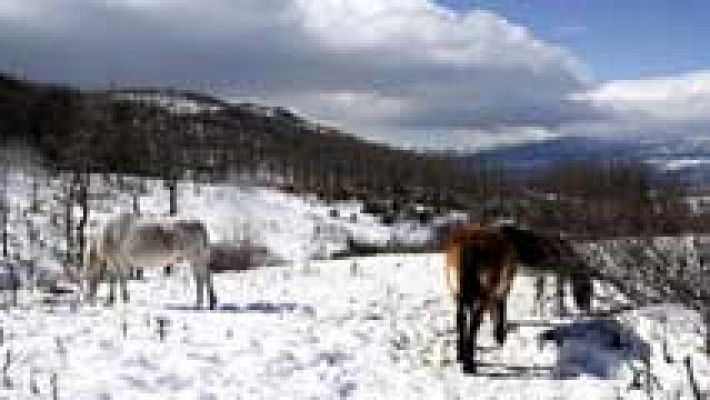 Informativo de Madrid - El Tiempo en la Comunidad de Madrid - 01/03/16