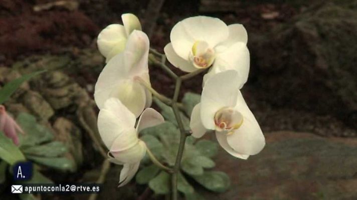 A punto con La 2 - A punto con La 2 - 01/03/16