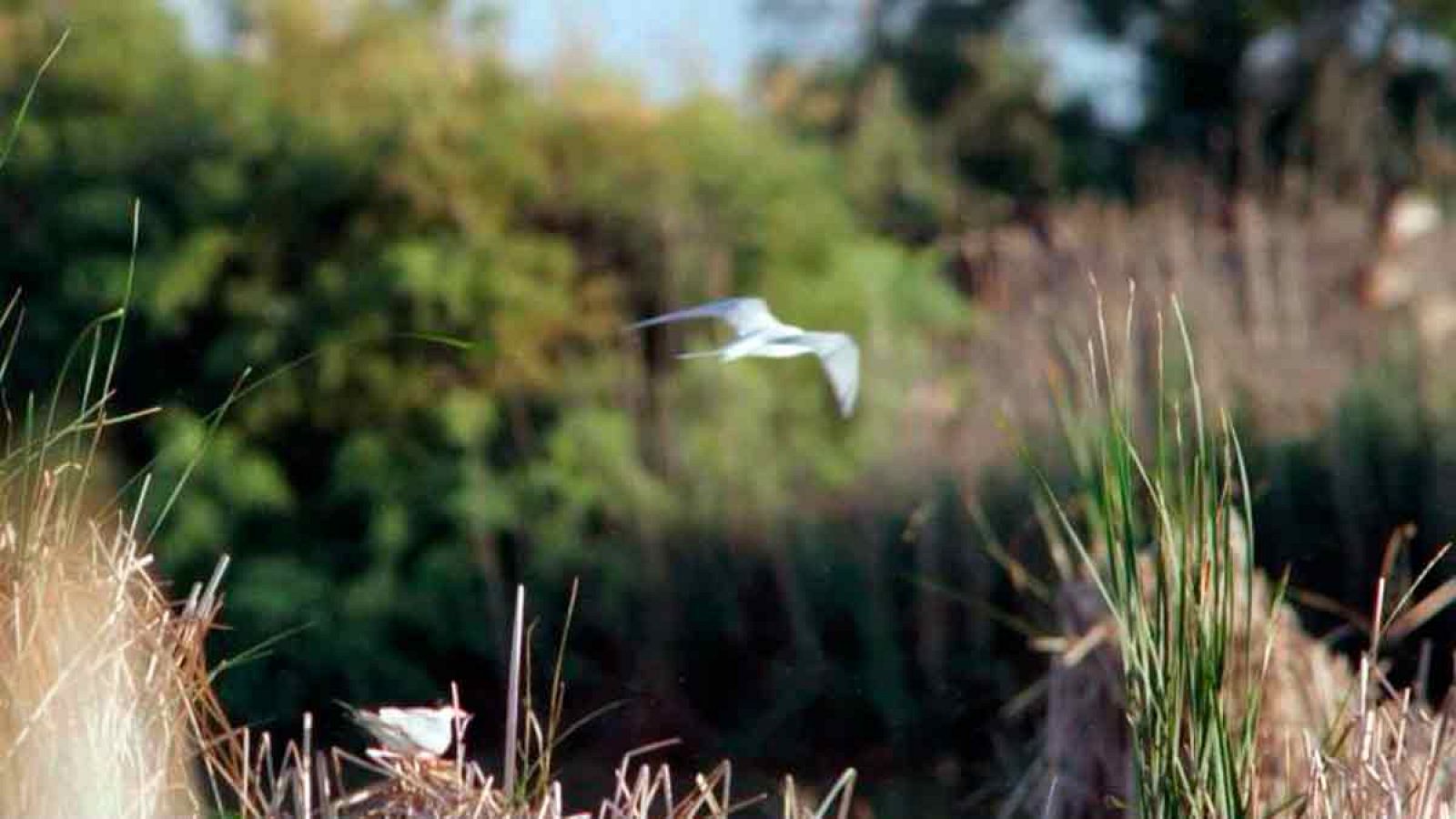 Red Natura 2000 - España, el país con mayor biodiversidad de toda Europa