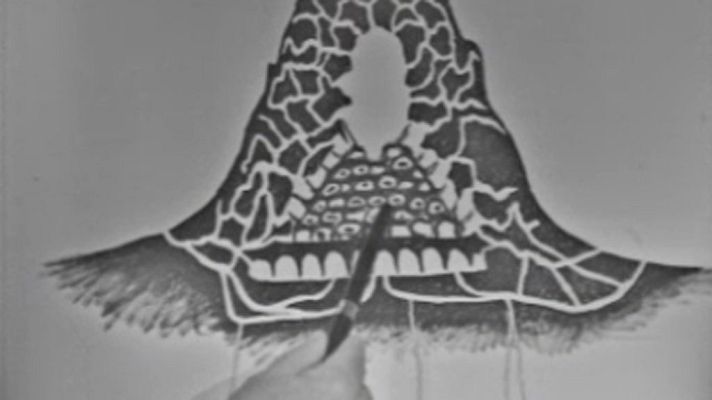 El planeta azul - Los secretos del termitero