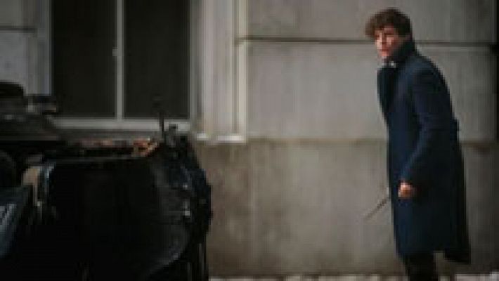 Telediario 1 - Vuelve el fenómeno Harry Potter a la gran pantalla con  'Animales Fantásticos y dónde encontrarlos'