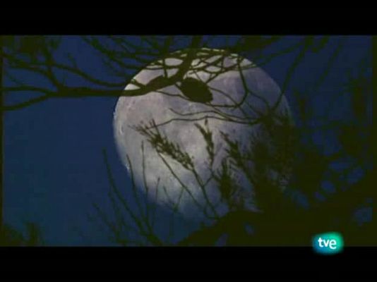 Jara y sedal - Crónica caza 2008