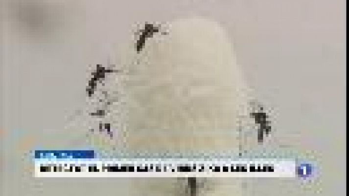 Informatiu Balear - Informatiu Balear en 2' - 04/03/16