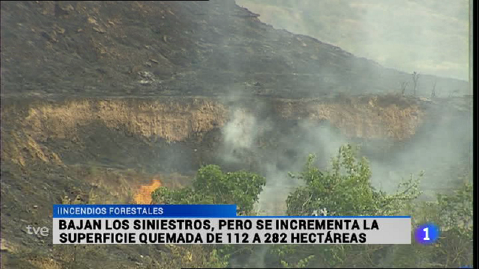 Informativo Telerioja 2 - 04/03/16