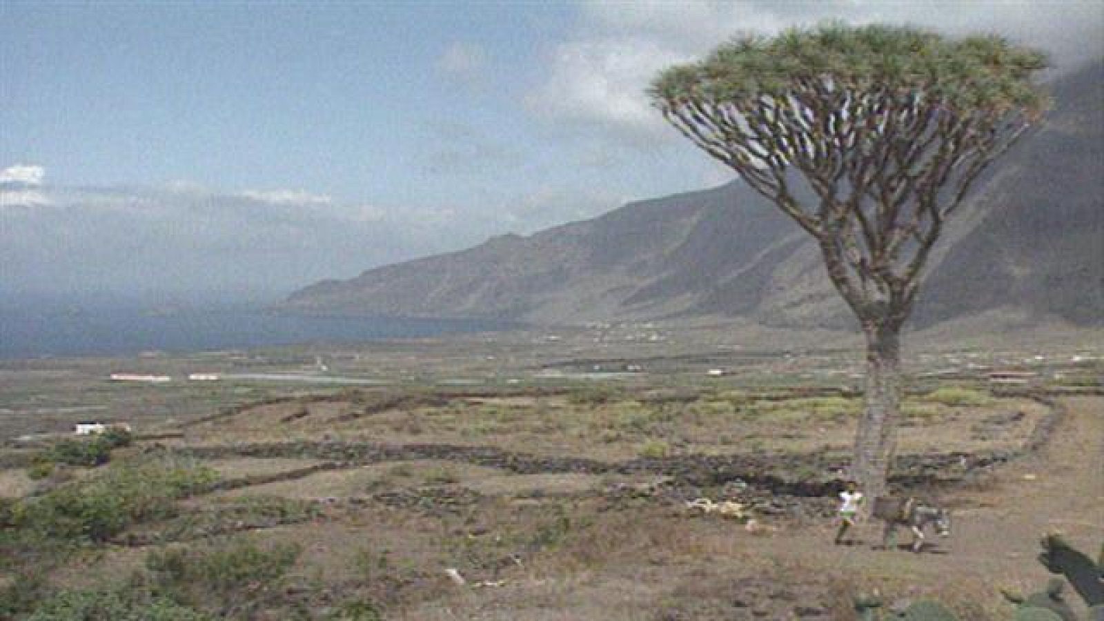Senderos Isleños - De la vendimia a San Simón