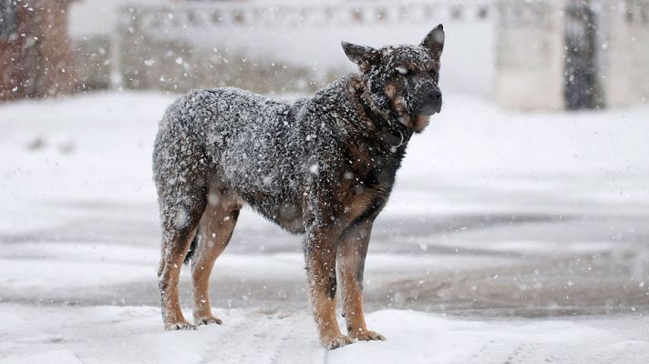 El tiempo - En el norte peninsular nevará en torno a los 400 y 600 metros