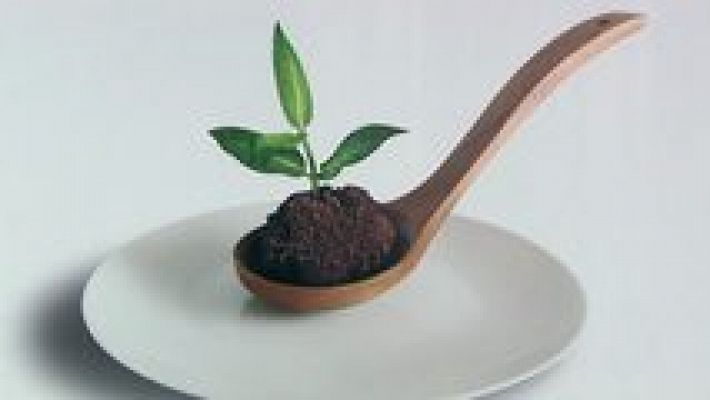 Testimonio - El hambre, vergüenza de la humanidad