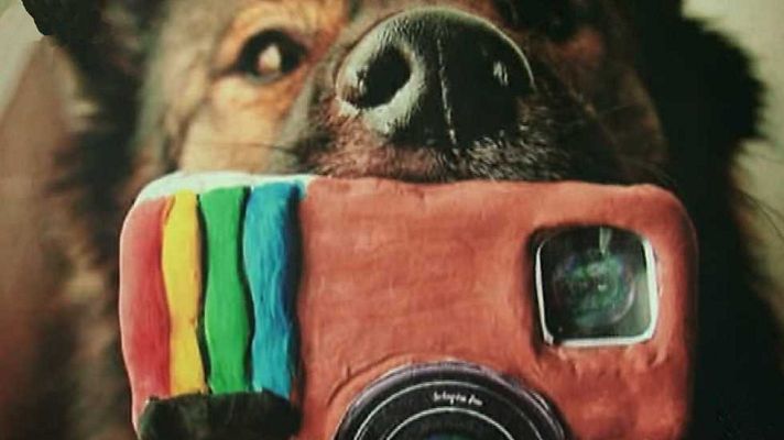 Emprende Digital - Emprende Digital - 06/03/16