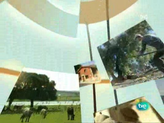 Agrosfera - Agrosfera - 29/11/08