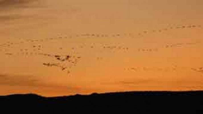 Red Natura 2000 - Laguna de Gallocanta