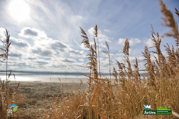 Red Natura 2000 - Laguna de Gallocanta
