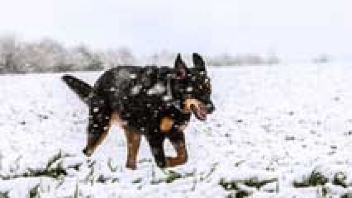 Informativo de Madrid - El Tiempo en la Comunidad de Madrid - 07/03/16