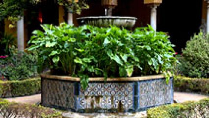 Telediario 1 - El Palacio de las Dueñas abre por primera vez sus puertas al público