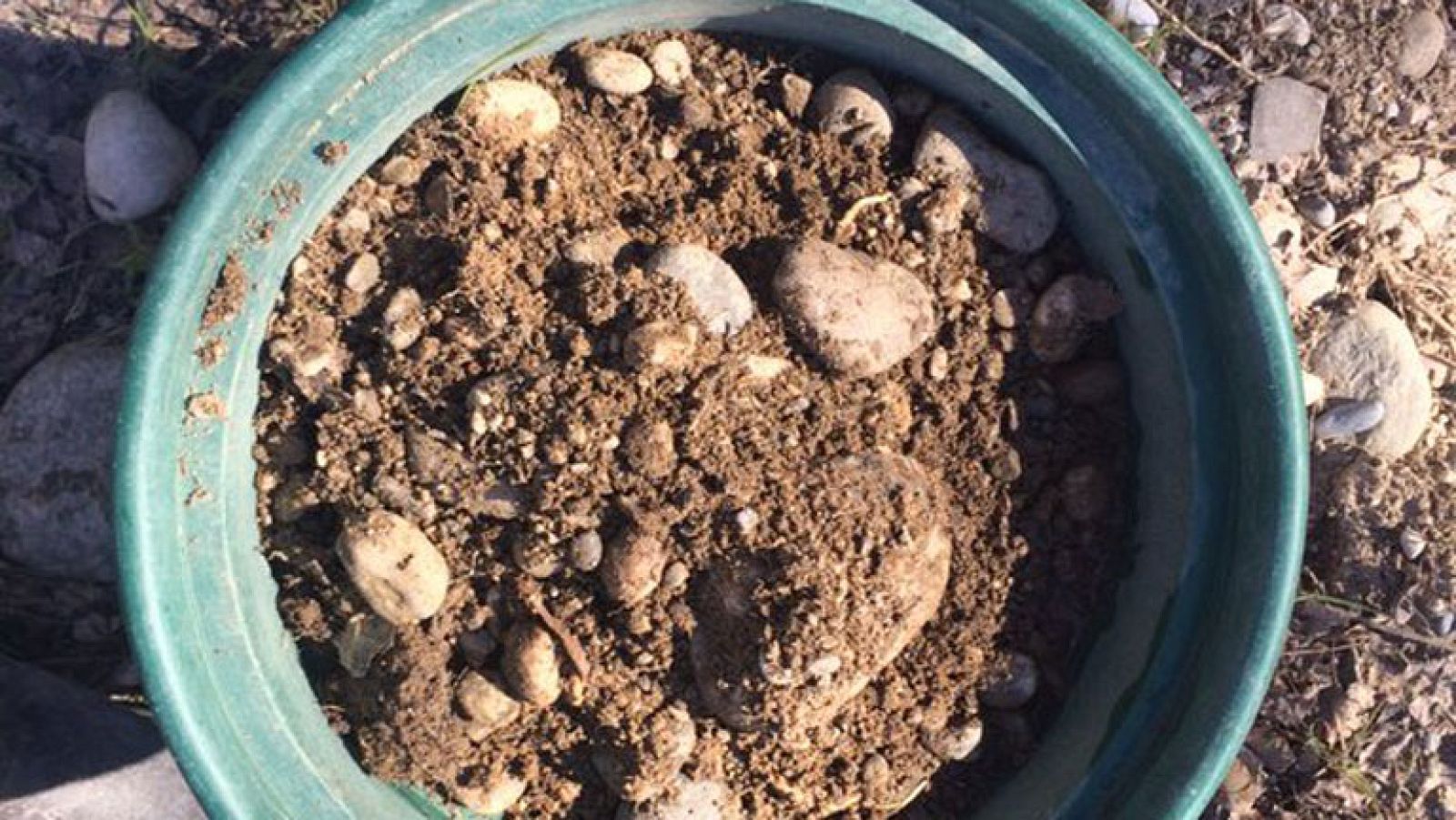 Vuelve la fiebre del oro