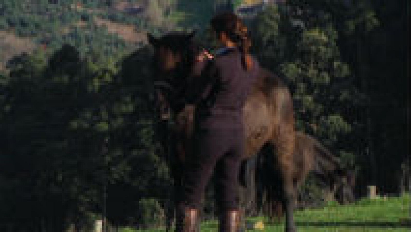  Pottoka, un caballo de la antigüedad 