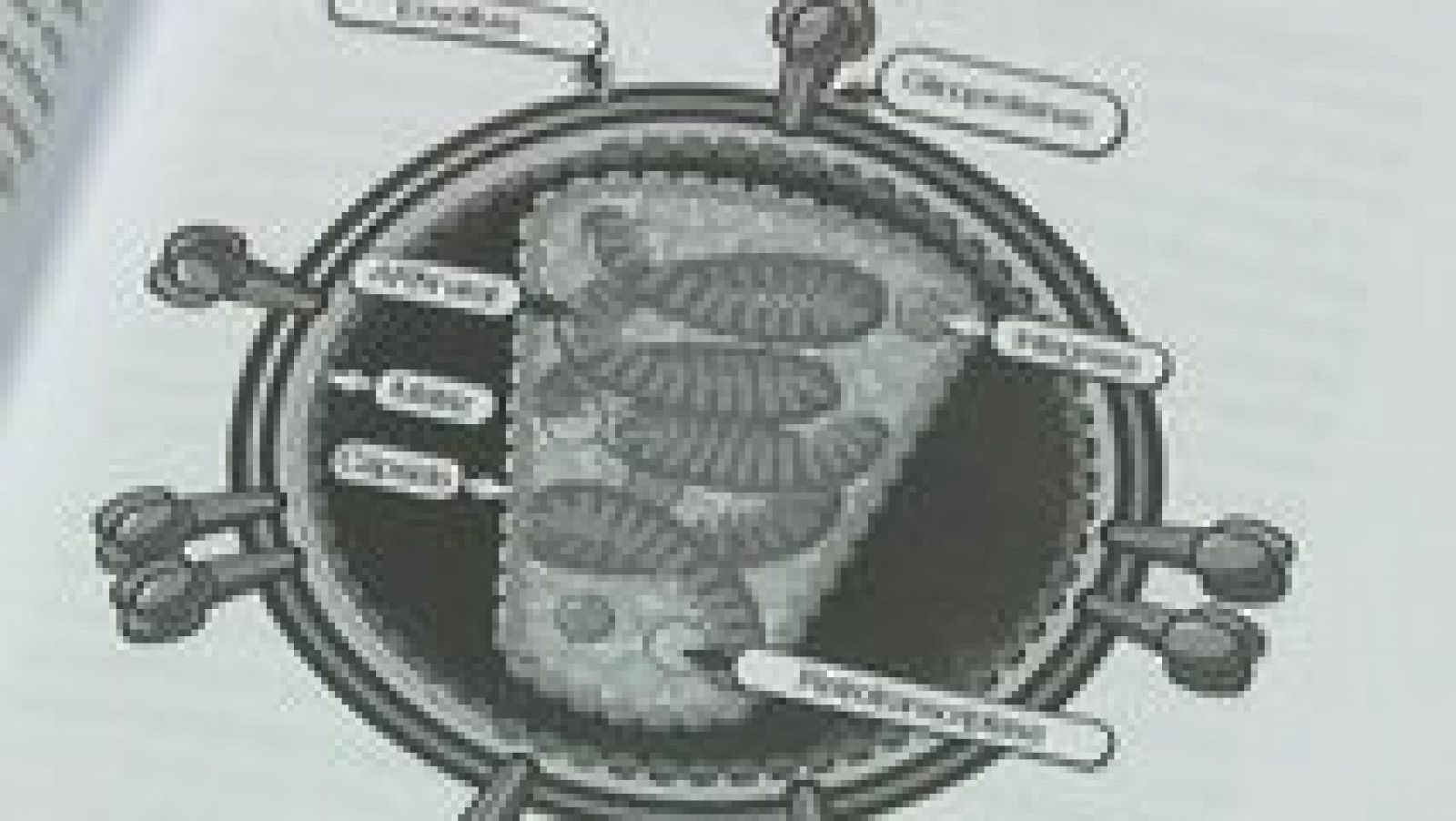La aventura del saber - 08/03/16 - Ver ahora