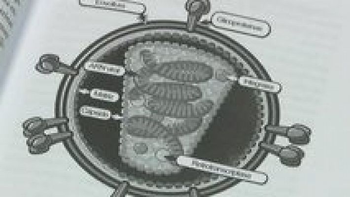 La aventura del Saber - La aventura del saber - 08/03/16