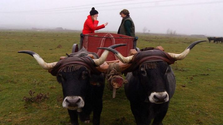 Aquí la Tierra - Angelines, una carretera por devoción