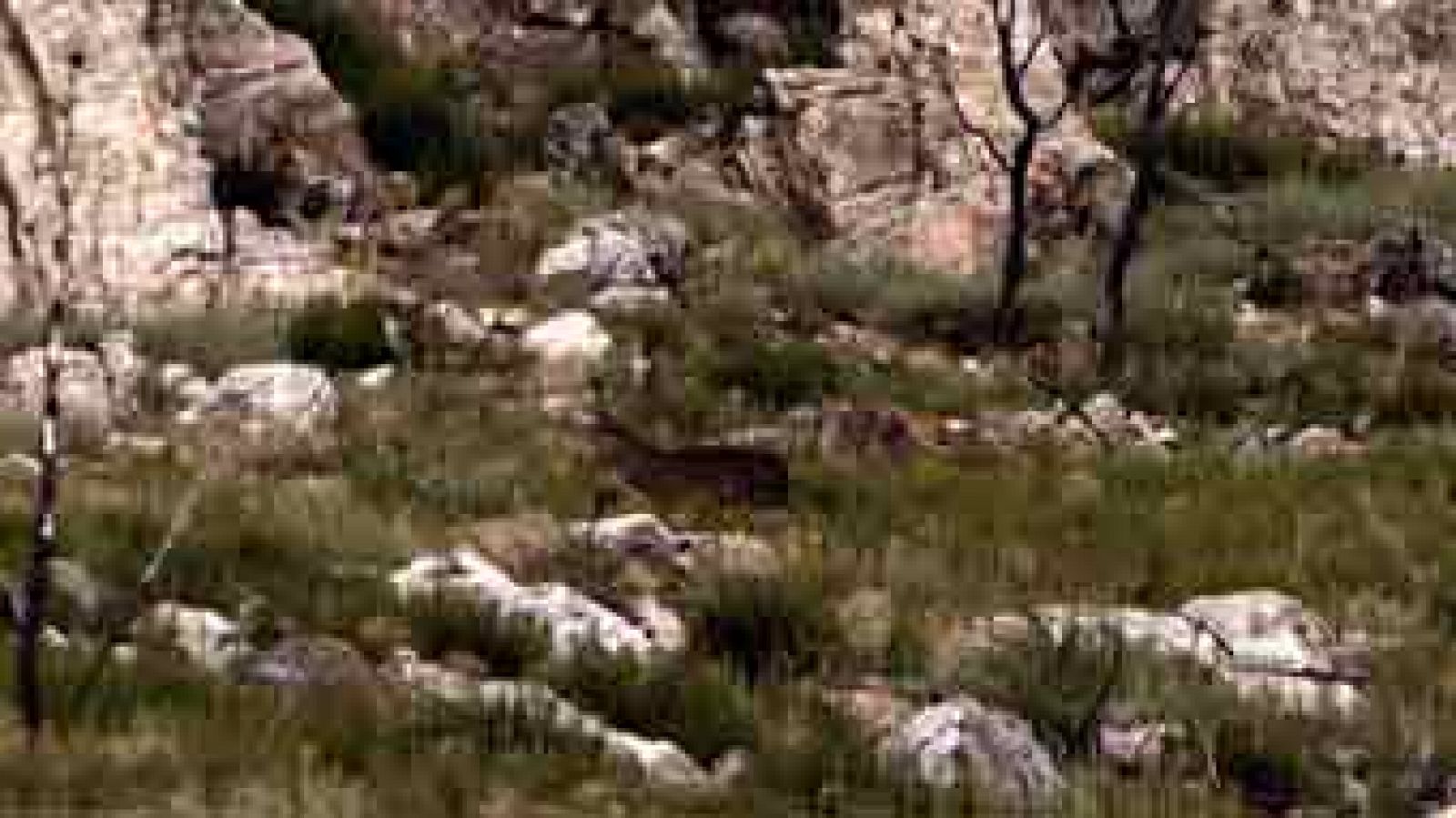  Montes Aquilanos - avance