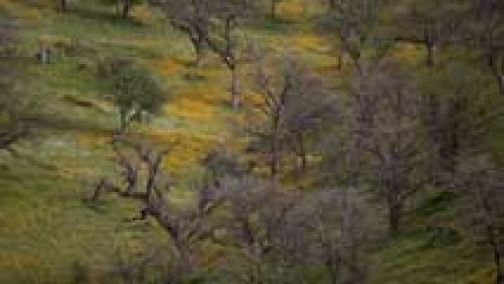 Informativo de Madrid - El Tiempo en la Comunidad de Madrid - 10/03/16