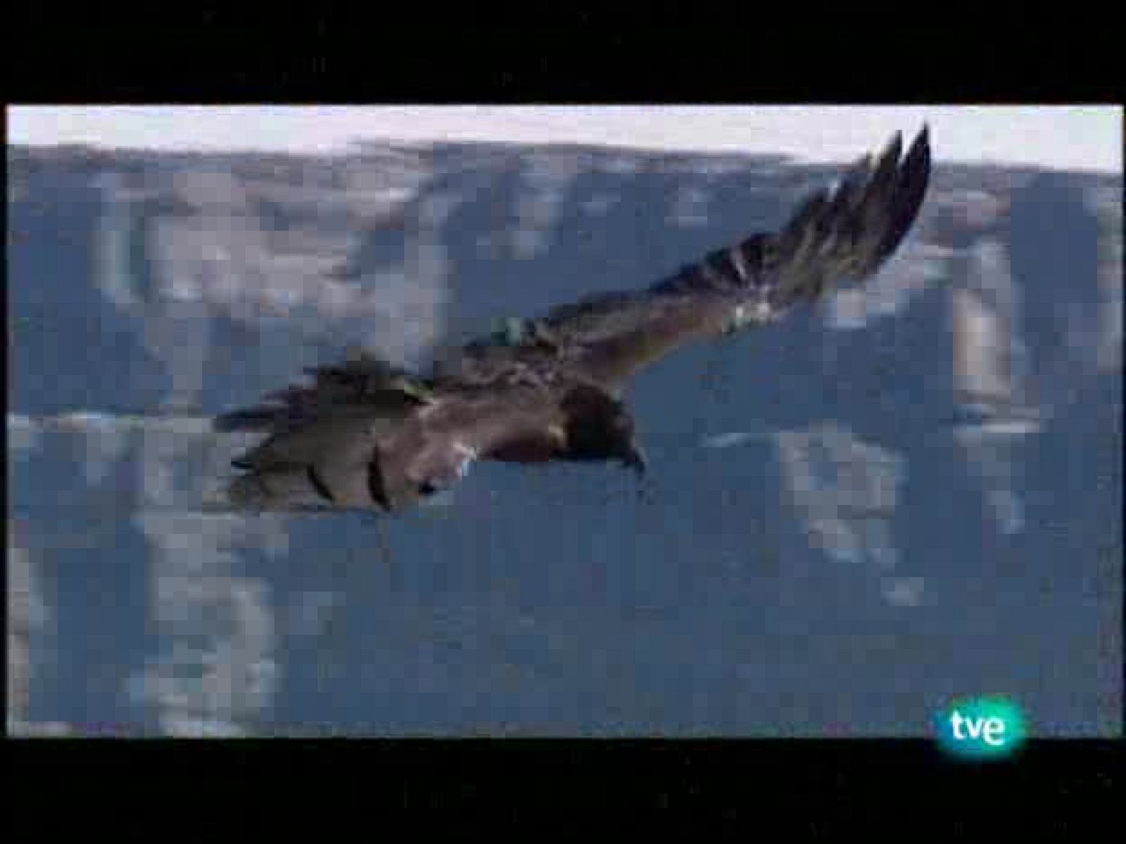 Un paseo por la Naturaleza - Picos de Europa | Ver