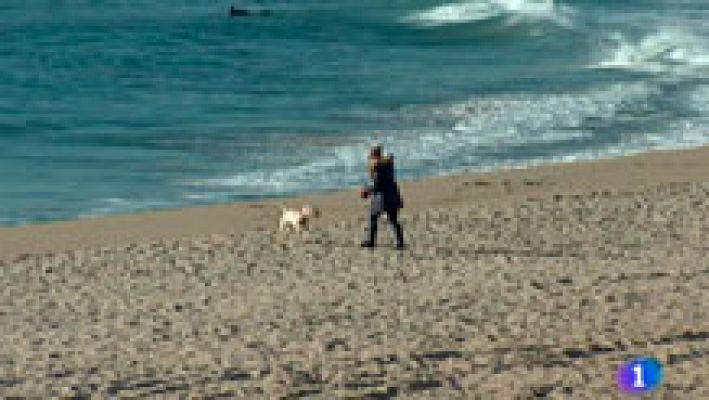 L'Informatiu - L'Informatiu 2 - 11/03/2016