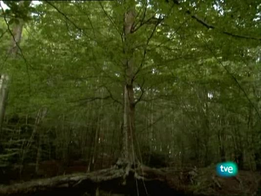 Metrópolis - Austrian Abstracts