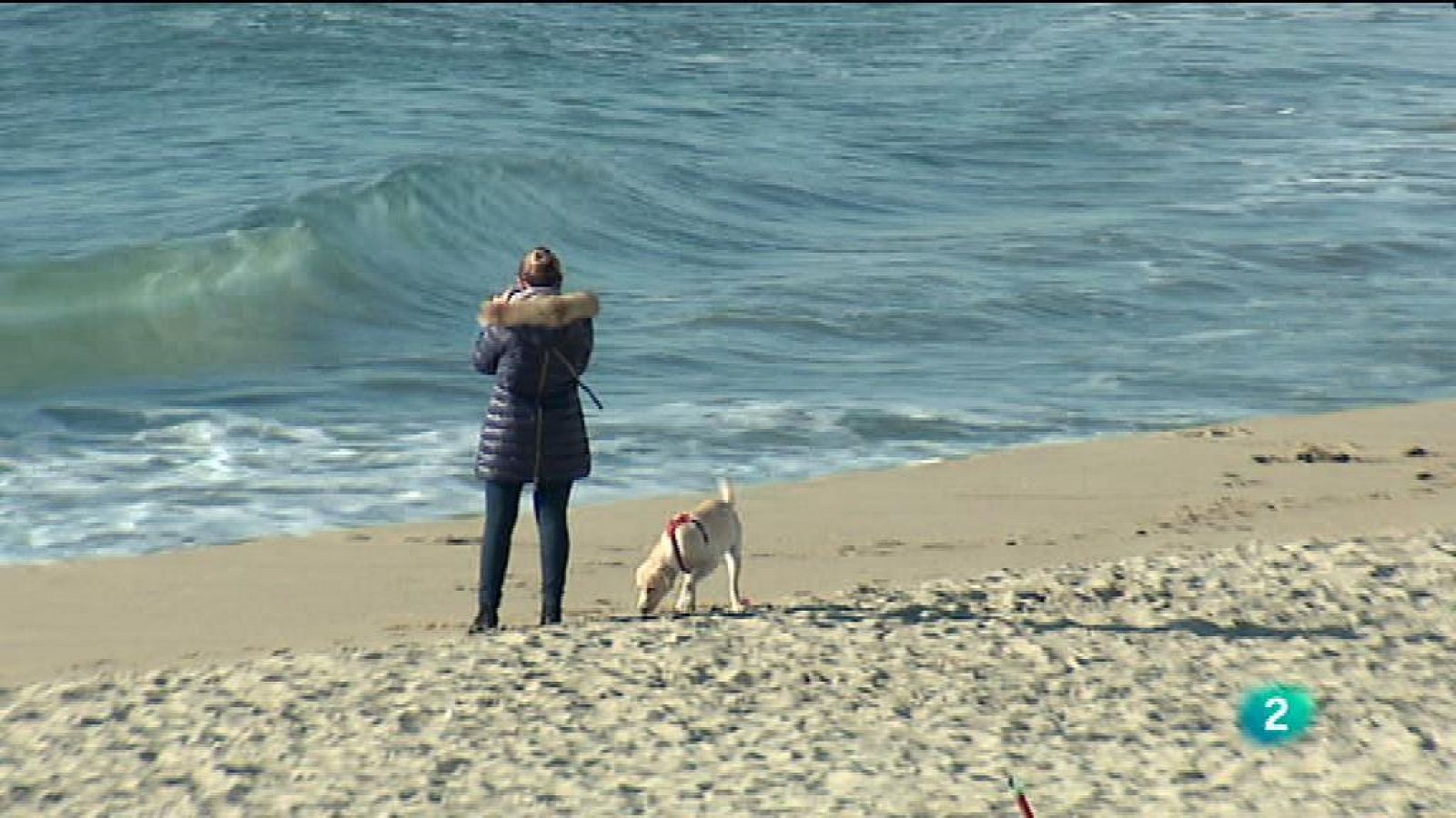 Vespre a La 2 - Informatiu - 11/03/2016