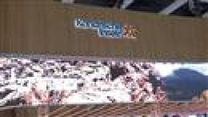 Telecanarias - Telecanarias - 13/03/2016