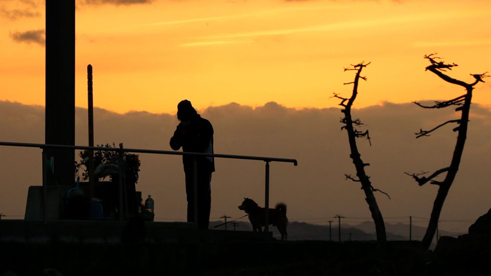 Greenpeace denuncia la situación en Chernóbil