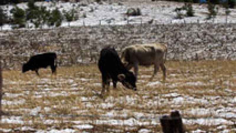 Nevará en cotas bajas, con precipitaciones localmente fuertes