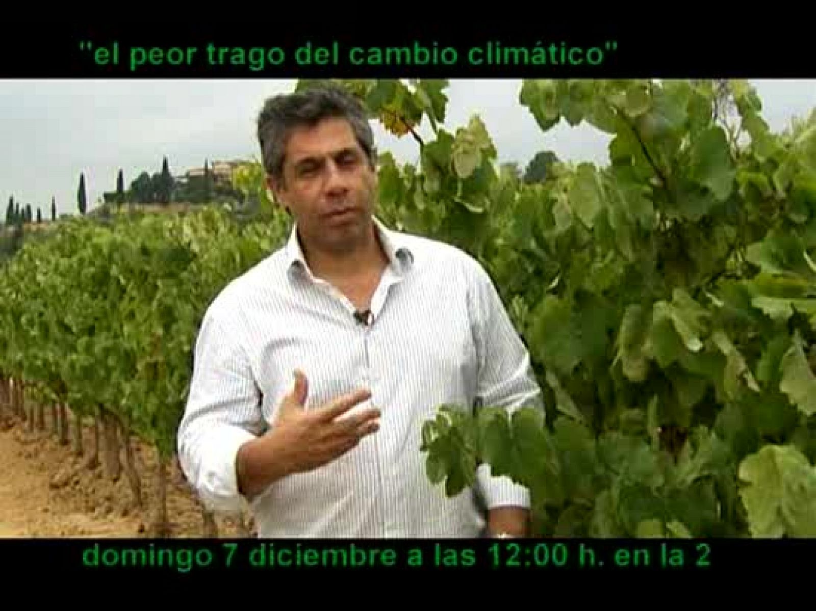 El escarabajo verde - El peor trago del cambio climático - El escarabajo verde | Ver