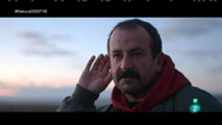 Red Natura 2000 - Laguna de Gallocanta: albergue para grulleros