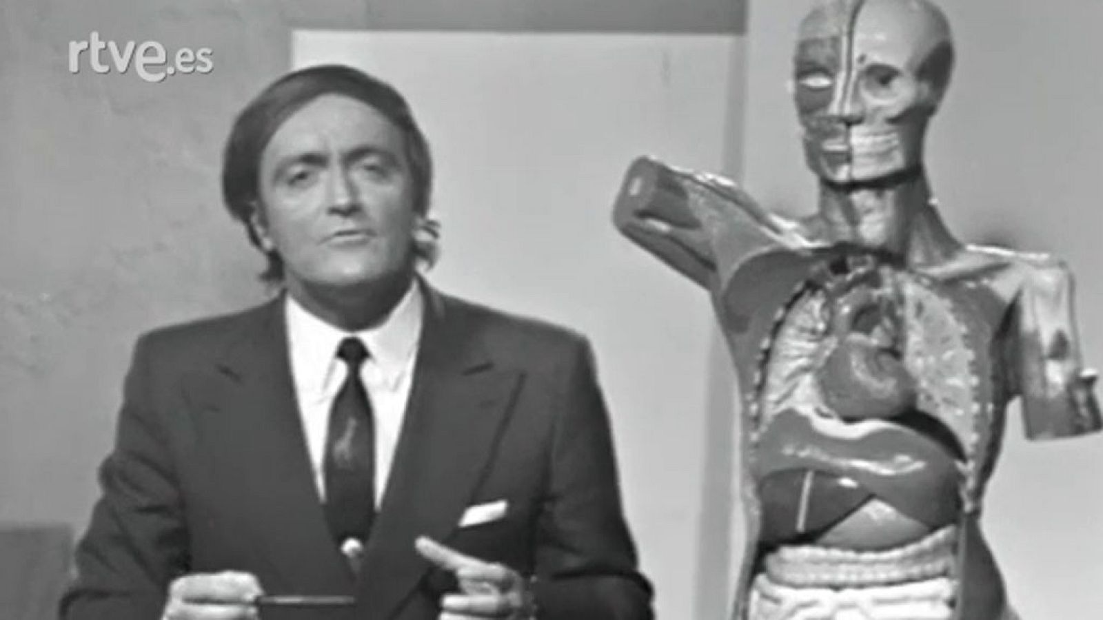 El planeta azul - La jerarquía en el mundo animal