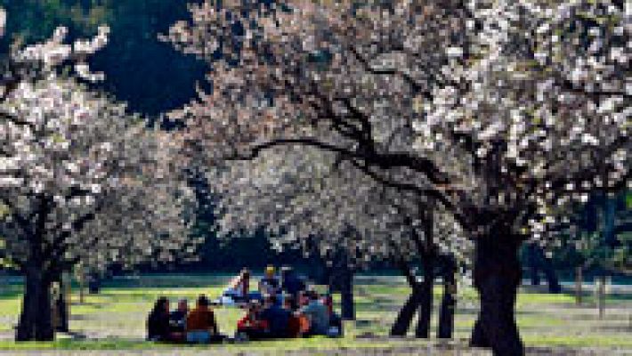 Informativo de Madrid - El Tiempo en la Comunidad de Madrid - 14/03/16