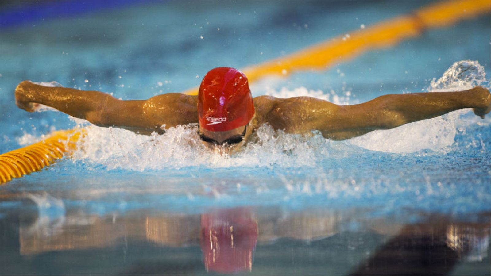 Cataluña, intratable en natación adaptada - Otros deportes | Ver