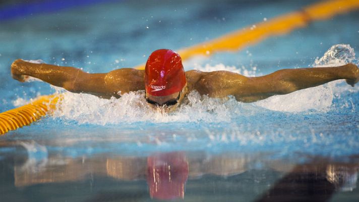 Otros deportes - Cataluña, intratable en natación adaptada