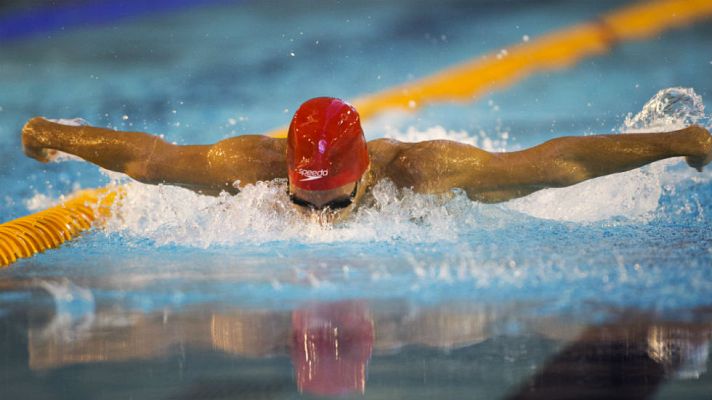 Cataluña, intratable en natación adaptada