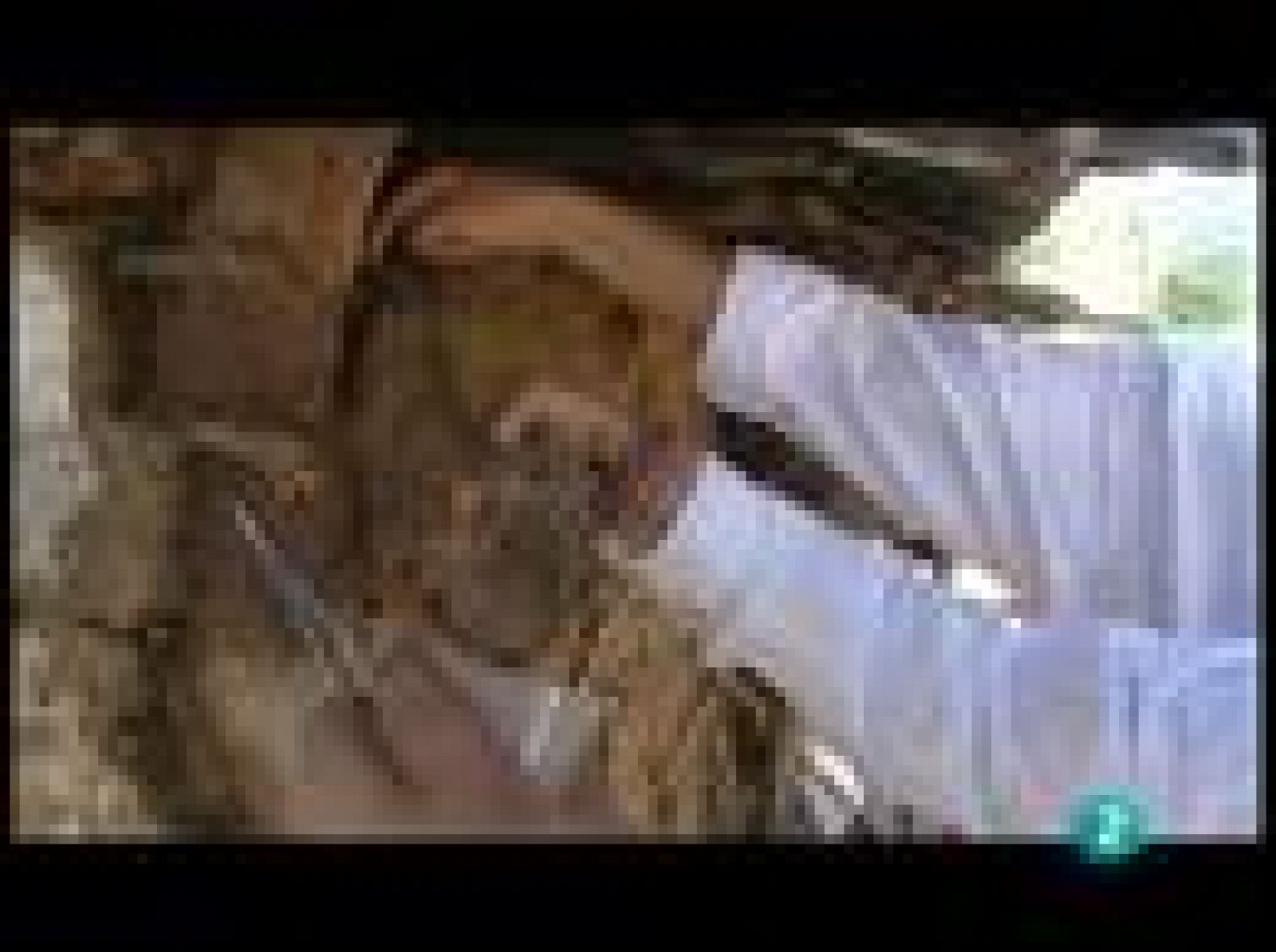 Fábrica de ideas - Imita: Pilar Mateo | Ver