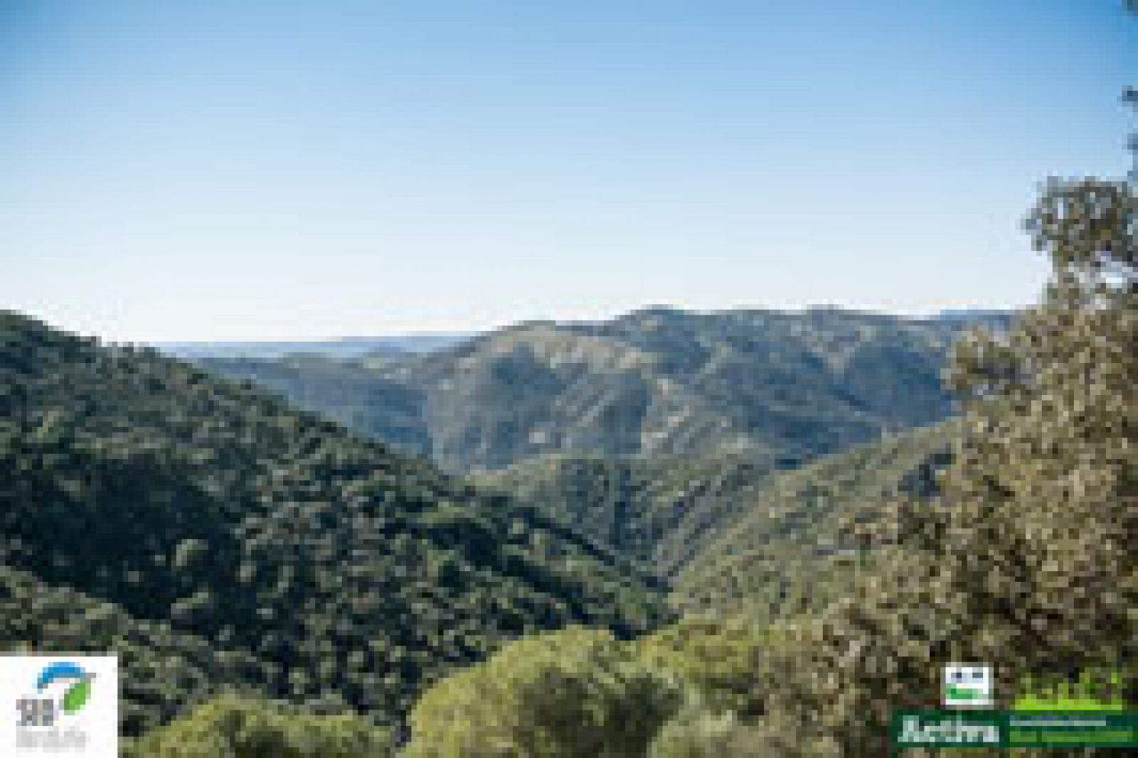 Red Natura 2000: Sierra Norte de Sevilla  | RTVE Play