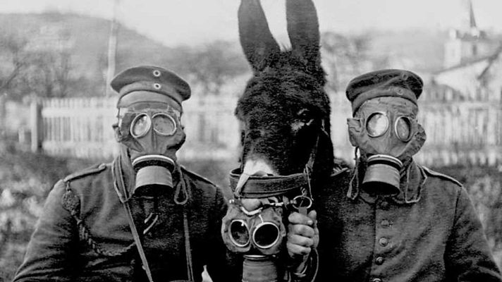 Documaster - Los animales en la Gran Guerra