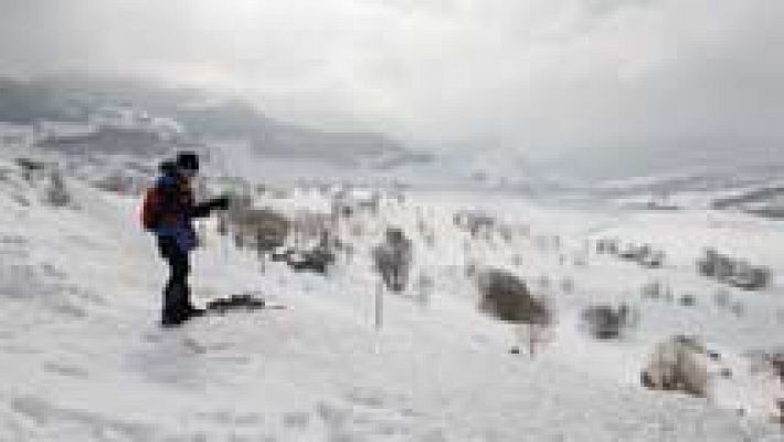 Nieve y viento fuerte en el norte de Cataluña