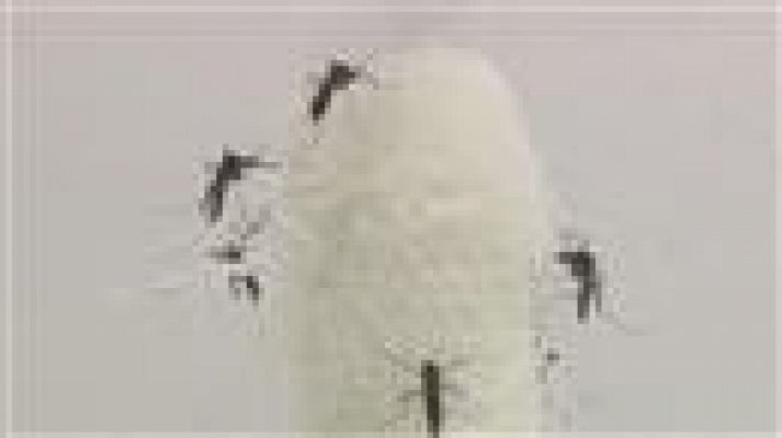 Telecanarias - Canarias en 2' - 16/03/2016