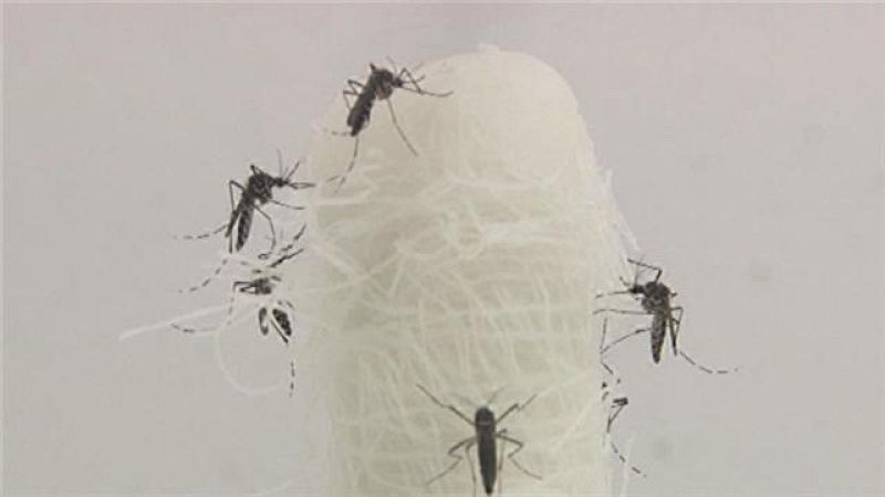 Canarias en 2' - 16/03/2016