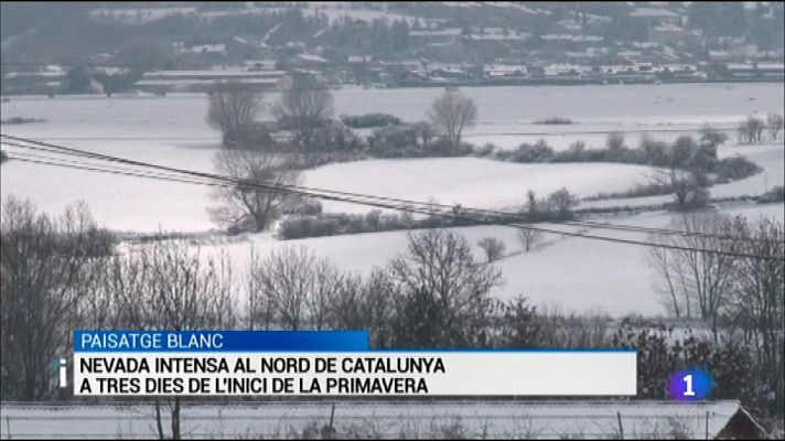 L'Informatiu - L'informatiu en 3' - 17/03/2016