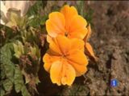 Panorama Regional - El tiempo en Asturias - 17/03/16