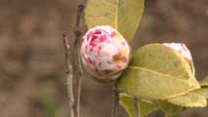 Informativo de Madrid - El Tiempo en la Comunidad de Madrid - 18/03/16